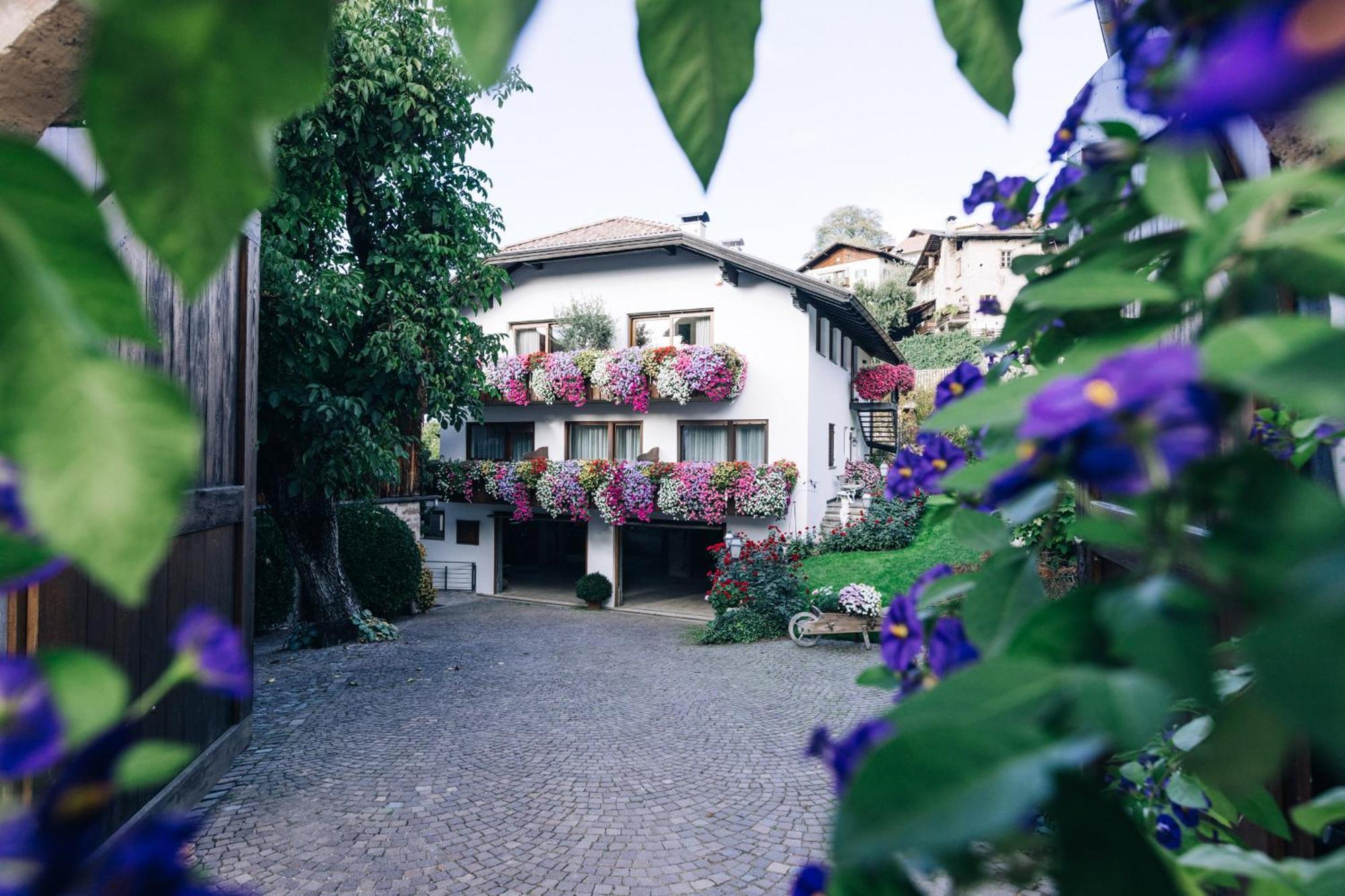 Amplatz 1523 - B&B And Suites مونتانا المظهر الخارجي الصورة